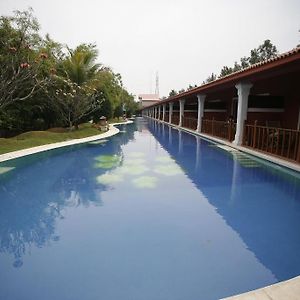 Lagoon Bay At Leonia